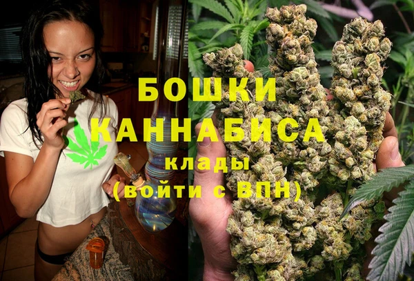 дживик Аркадак