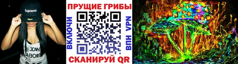 Галлюциногенные грибы мицелий  наркотики  Черняховск 